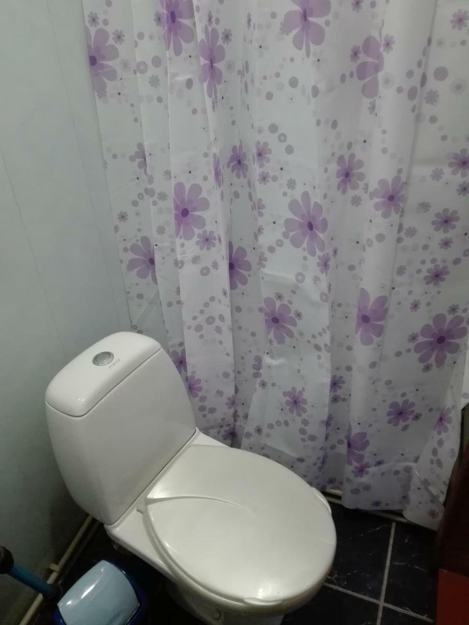 מיקוליצ'ין Садиба Брусний מראה חיצוני תמונה